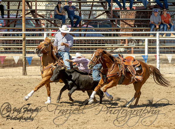 IMG_6481