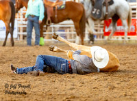 NSC Steer Wrestling Saturday 2024