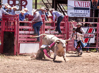 High School Bull Riding