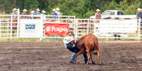 Steer Wrestling